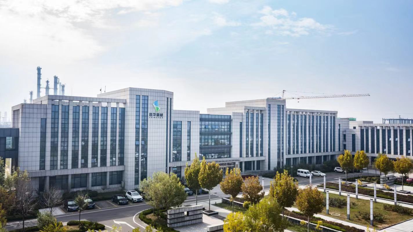 山東石大勝華化工集團(tuán)